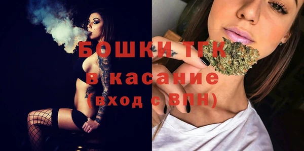 прущие грибы Карталы