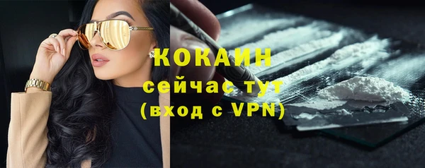 индика Касимов