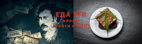 индика Касимов