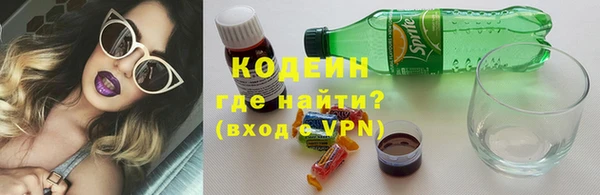 прущие грибы Карталы