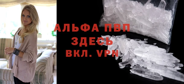 индика Касимов