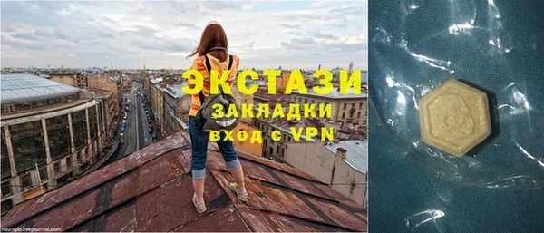 индика Касимов