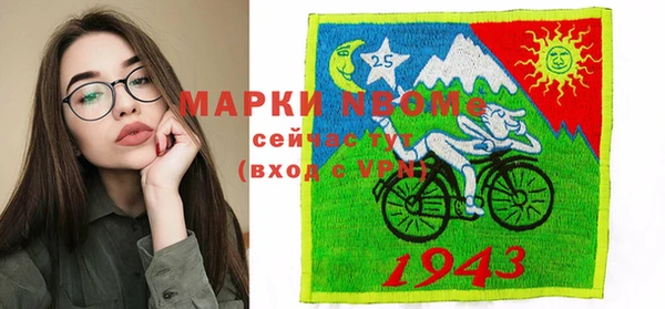 индика Касимов