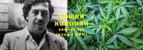 прущие грибы Карталы