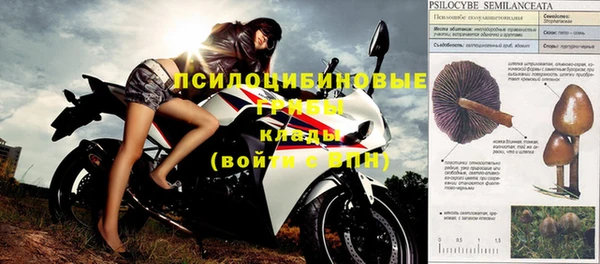 прущие грибы Карталы