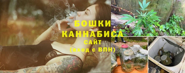 индика Касимов
