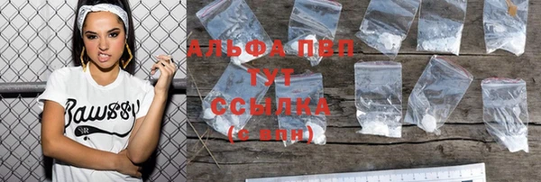 прущие грибы Карталы