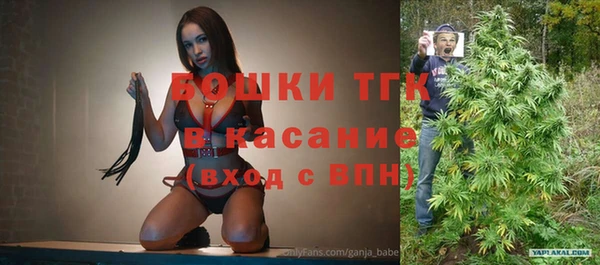 прущие грибы Карталы