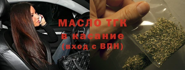 индика Касимов