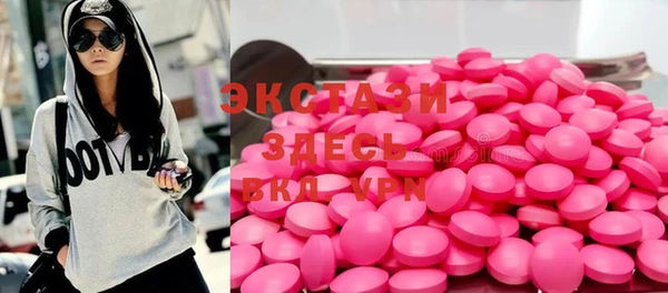 индика Касимов