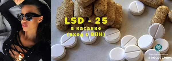 индика Касимов