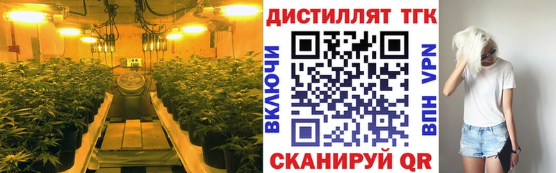 Дистиллят ТГК вейп с тгк  Купить закладки  Донецк 